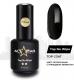 ВЫГОДНОЕ ТРИО «SOFT PEACH BASE»         